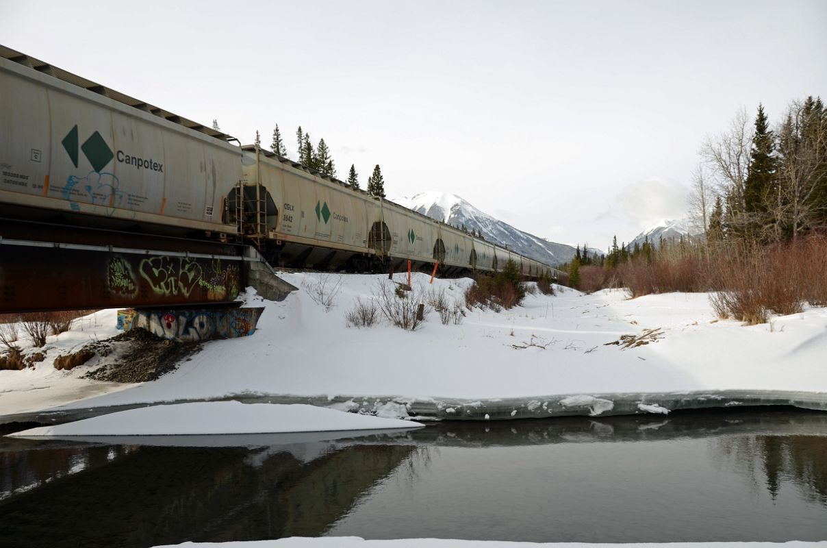 32 Train Passes By From Banff Fernland Loop Trail In Winter